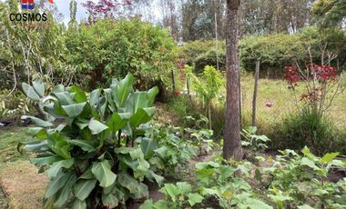 Casa de campo con terreno en Chachimbiro