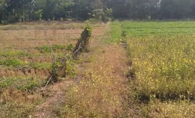 Di Jual Tanah Industri Nol Jalan Raya Sukomoro Bypass Nganjuk