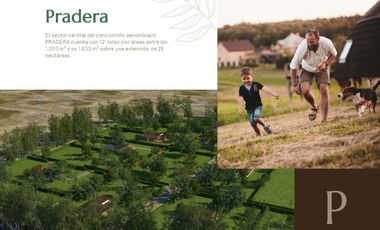 Venta de terrenos en el Condominio La Bienvenida - Chincha