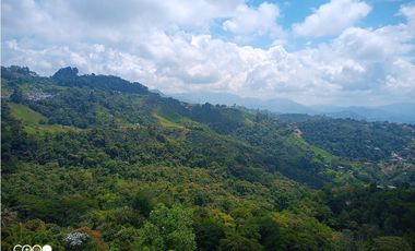 ARRIENDO APARTAMENTO LA FRANCIA MANIZALES | ARRIENDOS MANIZALES