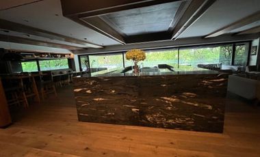 en Venta oportunidad ! Polanco uno piso alto obra gris