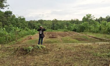Jual Tanah di Tenjo Bogor Dekat Kantor Desa Bojong