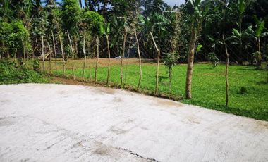 543 square meter Installment Farm Lot in Alfonso Cavite