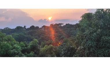 Venta de finca de 4754 M2 en 589 mill en La Mesa Cund.