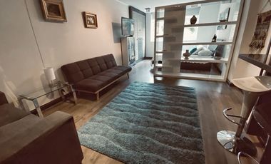 Regio studio amoblado ,Las Condes