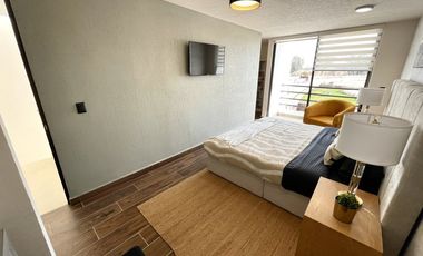 NORTE EN VIÑEDOS RIBIER MODELO CERDEÑA