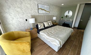 NORTE EN VIÑEDOS RIBIER MODELO CERDEÑA