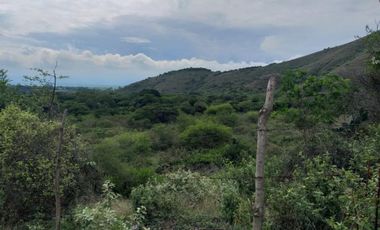 finca en venta en yotoco. Cod V8605