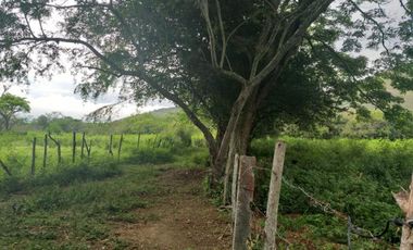 finca en venta en yotoco. Cod V8605