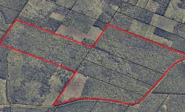 Venta Campo 19 hectáreas C/Plantación Montecarlo Misiones