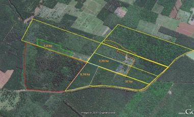 Venta Campo 19 hectáreas C/Plantación Montecarlo Misiones