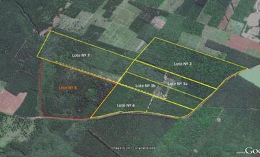 Venta Campo 19 hectáreas C/Plantación Montecarlo Misiones