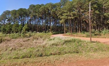 Venta Campo 19 hectáreas C/Plantación Montecarlo Misiones
