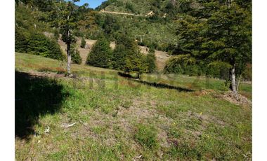 Parque ecológico residencial 109,5 ha en Melipeuco