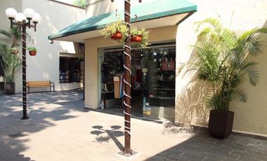 Dentro de plaza Cuernavaca