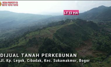 Dijual Tanah Perkebunan Cocok Untuk investasi jangka Panjang - Cibadak Bogor