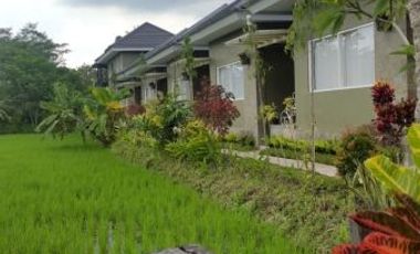 Rumah Villa Joglo & Resto Kolam Renang Tanah Luas di Gito - Gati