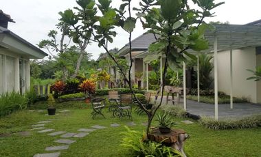 Rumah Villa Joglo & Resto Kolam Renang Tanah Luas di Gito - Gati