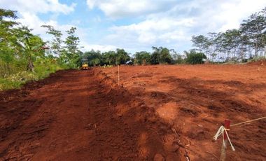 Dekat Jalan Karanganyar-Doro Pekalongan, SHM, Harga 60 Jt-an