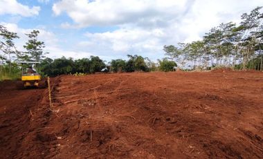 Dekat Jalan Karanganyar-Doro Pekalongan, SHM, Harga 60 Jt-an