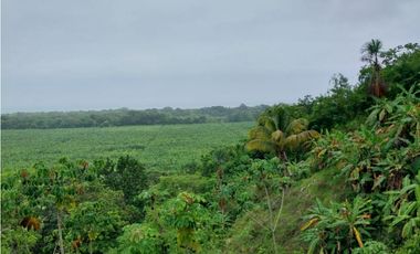SE VENDE LOTE VA SANTA MARTA - PALOMINO DE 10 HECTREAS