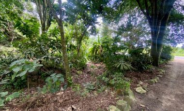 SE VENDE LOTE VA SANTA MARTA - PALOMINO DE 10 HECTREAS