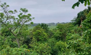 SE VENDE LOTE VA SANTA MARTA - PALOMINO DE 10 HECTREAS