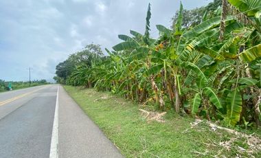 SE VENDE LOTE VA SANTA MARTA - PALOMINO DE 10 HECTREAS