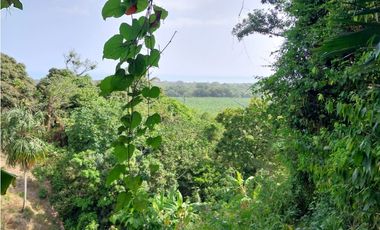 SE VENDE LOTE VA SANTA MARTA - PALOMINO DE 10 HECTREAS