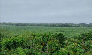SE VENDE LOTE VA SANTA MARTA - PALOMINO DE 10 HECTREAS