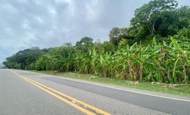 SE VENDE LOTE VA SANTA MARTA - PALOMINO DE 10 HECTREAS