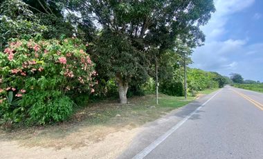 SE VENDE LOTE VA SANTA MARTA - PALOMINO DE 10 HECTREAS