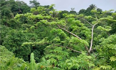 SE VENDE LOTE VA SANTA MARTA - PALOMINO DE 10 HECTREAS