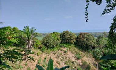 SE VENDE LOTE VA SANTA MARTA - PALOMINO DE 10 HECTREAS