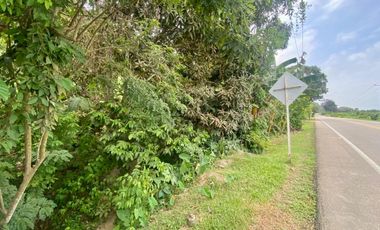SE VENDE LOTE VA SANTA MARTA - PALOMINO DE 10 HECTREAS