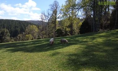 Sitio en Venta en Cercano a la ciudad