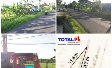 Tanah dijual di Bali, Tabanan
