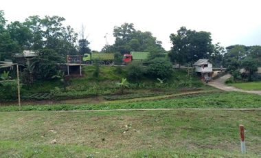 TANAH KAVLING SHM DI PINGGIR JALAN RAYA CICALENGKA BANDUNG