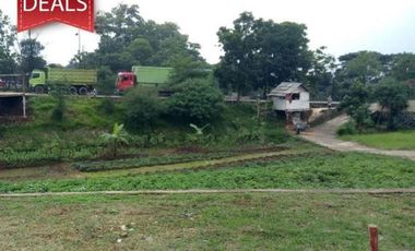 TANAH KAVLING SHM DI PINGGIR JALAN RAYA CICALENGKA BANDUNG