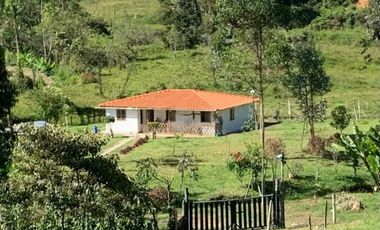 Venta Finca Guarne