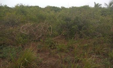 OFERTA Terreno de playa 5000m2 con zona federal del Golfo de México en Veracruz