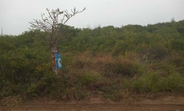 OFERTA Terreno de playa 5000m2 con zona federal del Golfo de México en Veracruz