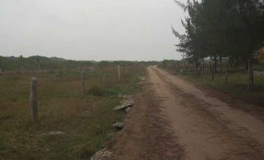 OFERTA Terreno de playa 5000m2 con zona federal del Golfo de México en Veracruz