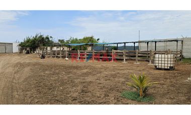 🌿 ¡Exclusivo Fundo Santa Apolonia en Venta – Moche, Trujillo! 🏡

Vive la experiencia de un refugio natural con modernas comodidades en una de las me