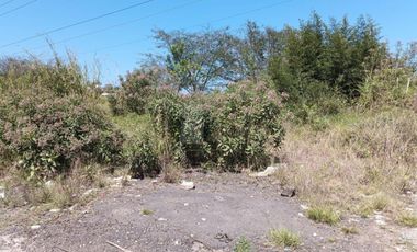 Terreno habitacional el Lencero, Veracruz