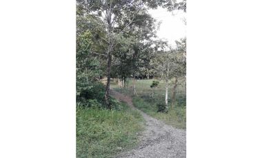 TRES HECTREAS EN PATIO BONITO