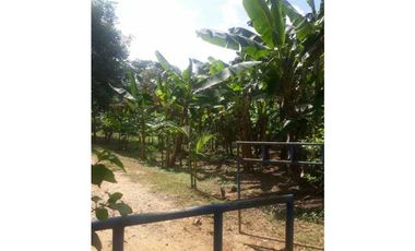 TRES HECTREAS EN PATIO BONITO