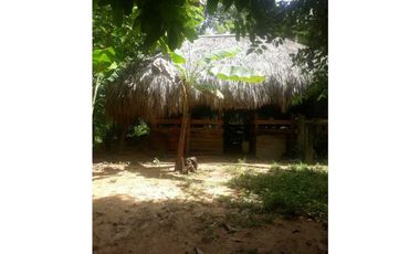 TRES HECTREAS EN PATIO BONITO