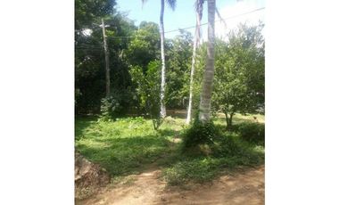 TRES HECTREAS EN PATIO BONITO