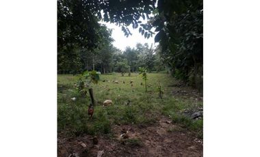 TRES HECTREAS EN PATIO BONITO
